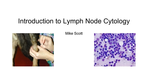 Thumbnail for entry VM 523-Intro to Lymph node Cytology