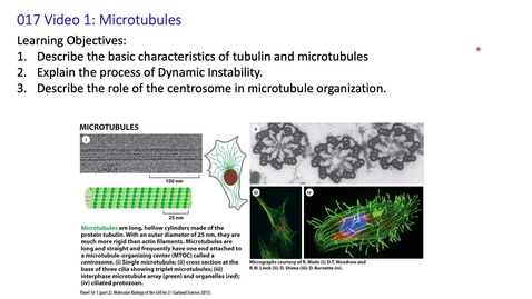 Organizing and Disorganizing Resonances of Microtubules, Stem