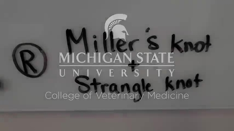 Thumbnail for entry VM 580-Right-handed Miller's knot and Strangle knot