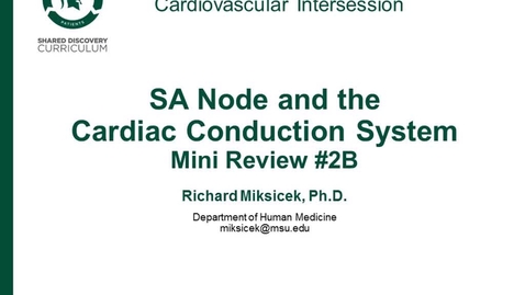 Thumbnail for CPR Intersession: SA Node and the Cardiac Conduction System