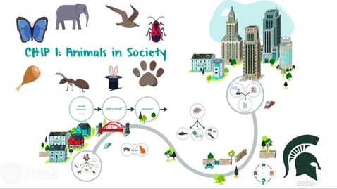Thumbnail for CHIP 1 Animals in Society Intro by Dr. Laura Nelson