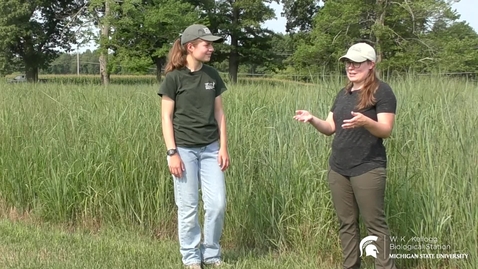 Thumbnail for Digging in the dirt to understand climate change with Dr. Samantha Mosier