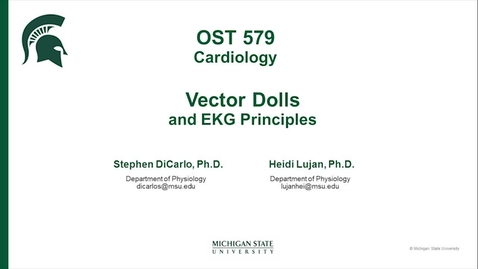 Thumbnail for entry VectorDoll-EKG-DiCarlo
