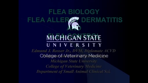 Thumbnail for entry VM 534-Flea Allergy Dermatitis
