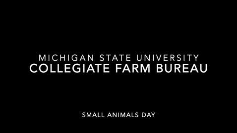 Thumbnail for entry MSU Collegiate Farm Bureau Small Animals Day