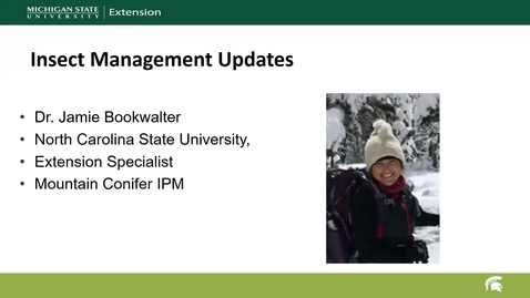 Thumbnail for Insect Management 2025 Updates in Christmas Trees