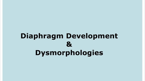 Thumbnail for entry 7-4 Diaphragm Development Congenital Hernia Hiatal Hernia