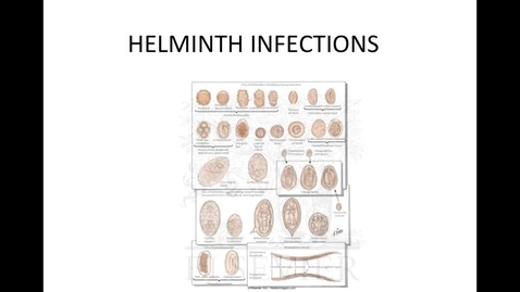 Thumbnail for Module-TWO-Helminth-Infection-HM-863