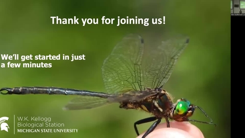 Thumbnail for entry Dessert with Discussion - Alisha Shah - Can Insects take the Heat?