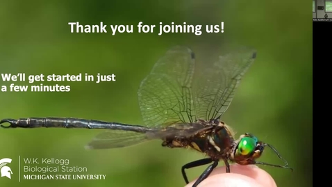 Thumbnail for Dessert with Discussion - Alisha Shah - Can Insects take the Heat?
