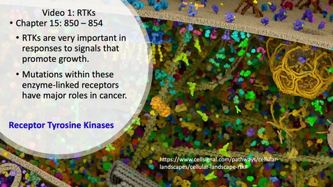 Thumbnail for entry 014 Video 1 Receptor tyrosine kinases