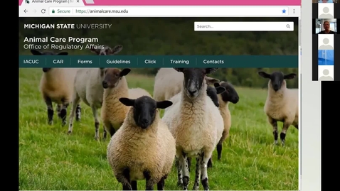 Thumbnail for Final Clip of IACUC Review and Protocol Process of MSU's Animal Care Program
