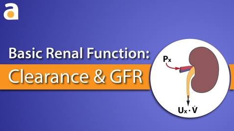 Thumbnail for entry VM 529-(YouTube) Basic Renal Function: Clearance and GFR