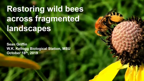 Thumbnail for entry Restoring wild bees across fragmented landscapes