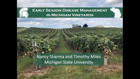 Thumbnail for entry Grape Kickoff 2020 - Early season disease management in Michigan vineyards