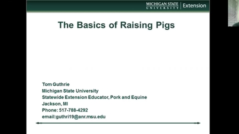 Thumbnail for The basics of raising pigs