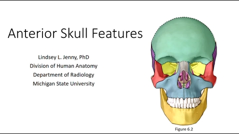 Thumbnail for entry Anterior Skull Bones &amp; Features