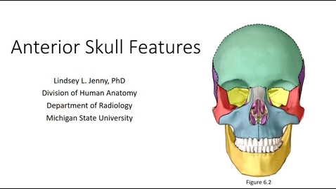 Midsagittal Skull Bones & Features - MSU MediaSpace