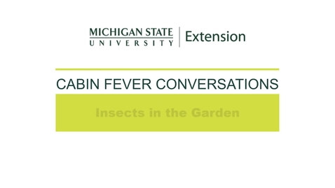 Thumbnail for entry Cabin Fever Conversations 2021: Insects in the Garden with David Lowenstein