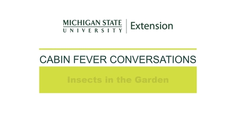Thumbnail for Cabin Fever Conversations 2021: Insects in the Garden with David Lowenstein