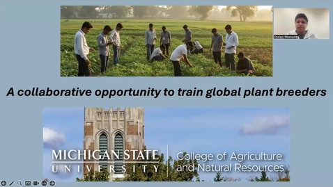 Thumbnail for MSU Global Plant Breeding Online Masters Program