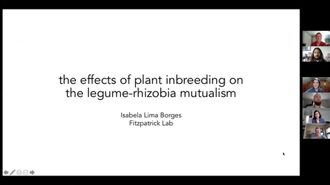Thumbnail for Isabela Lima Borges, 2021 KBS-LTER Graduate Fellow