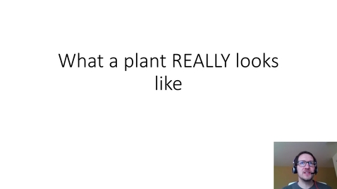Thumbnail for C1a_What a plant really looks like