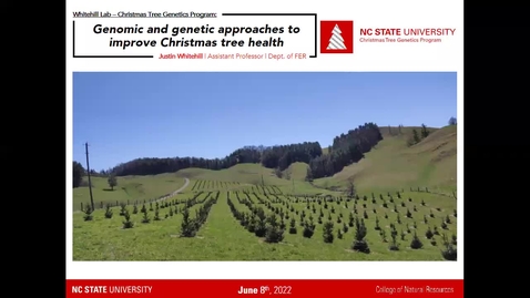 Thumbnail for entry 2022 CTRE: Genomic and Genetic approaches to improve Christmas tree health