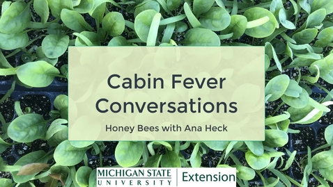 Thumbnail for entry Cabin Fever Conversations - Honeybees with Ana Heck