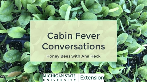 Thumbnail for Cabin Fever Conversations - Honeybees with Ana Heck