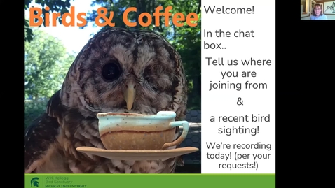 Thumbnail for Birds &amp; Coffee Chat: Cavity Nesting Birds