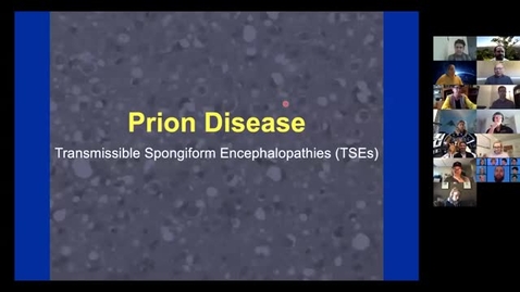 Thumbnail for entry Prion Disease Transmissible Spongiform Encephalopathies