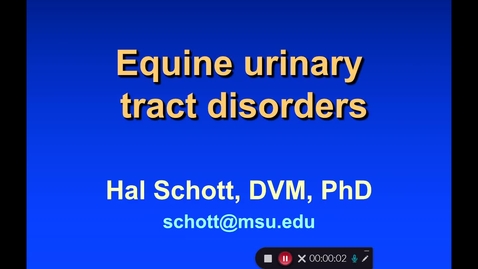 Thumbnail for entry VM 568-Equine urinary tract disorders