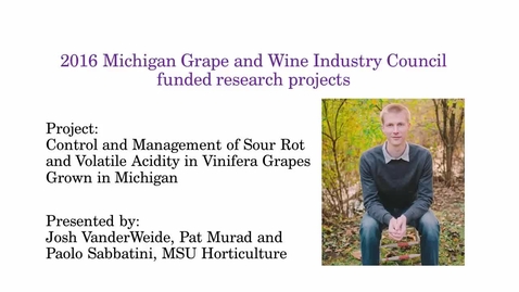 Thumbnail for entry Control and Management of Sour Rot and Volatile Acidity in Vinifera Grapes Grown in Michigan