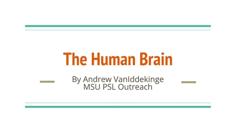Thumbnail for entry PSL Outreach: Brain Hat - Neuroanatomy