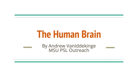 Thumbnail for PSL Outreach: Brain Hat - Neuroanatomy