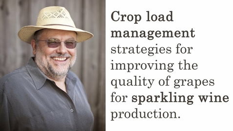 Thumbnail for entry Crop load management strategies for improving the quality of grapes for sparkling wine production.