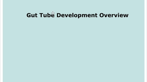 Thumbnail for entry 6-3 Gut Tube Development Overview