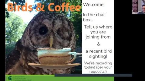 Thumbnail for Birds and Coffee Chat: Warblers