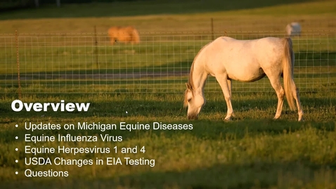 Thumbnail for entry Regulatory and Diagnostic Updates for Infectious Equine Diseases: EIA, EHV, and EIV | 3.24.2021