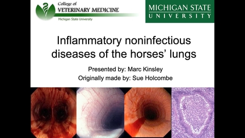 Thumbnail for entry VM 536-Inflammatory noninfectious diseases of the horses' lungs-KInsley