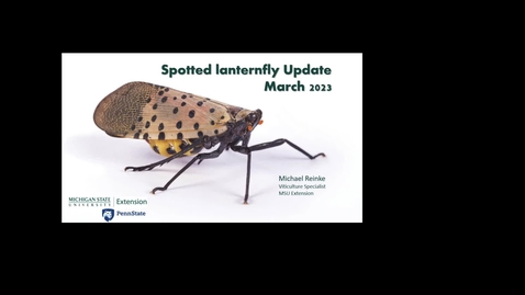 Thumbnail for MikeReinkeSpottedLanternFly2023