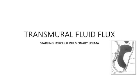 Thumbnail for entry VM 520-Transmural fluid flux (2022)