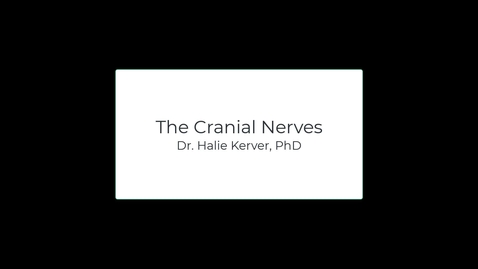 Thumbnail for OST571 (Lab 2.2) The Cranial Nerves