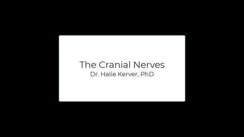 Thumbnail for entry OST571 (Lab 2.2) The Cranial Nerves