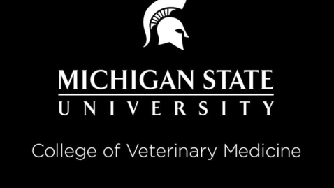 Thumbnail for VM 515-Equine Behavior/Horse Handling