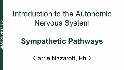 Thumbnail for entry ANTR510 Introduction to the Autonomic Nervous System - Sympathetic Pathways