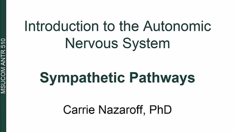 Thumbnail for ANTR510 Introduction to the Autonomic Nervous System - Sympathetic Pathways