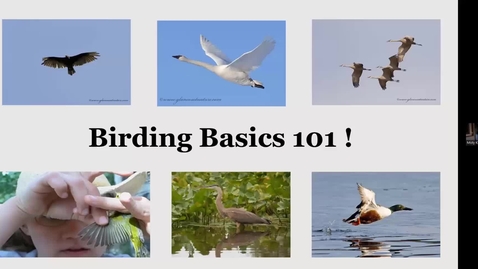 Thumbnail for entry MIMN SDO Interpreting Ornithology Part 2 Birding Basics 101