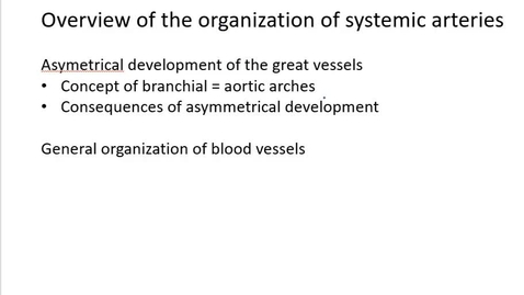 Thumbnail for entry VM 518-Development of great vessels